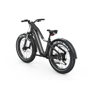 Ranger EB50 EBike