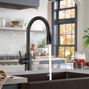 Kitchen Faucet Pull-out Spray Head, Stainless Steel, Single-lever Mixer
